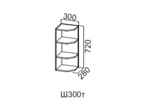 Ш300т/720 Шкаф навесной 300/720 (торцевой) в Симе - sim.magazin-mebel74.ru | фото