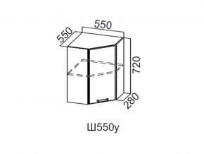 Ш550у/720 Шкаф навесной 550/720 (угловой) в Симе - sim.magazin-mebel74.ru | фото