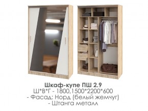 шкаф-купе ПШ-2.9 1500 Норд Белый жемчуг 1500 в Симе - sim.magazin-mebel74.ru | фото