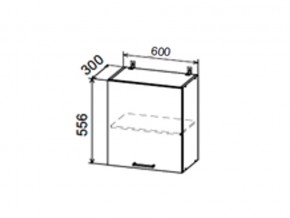 Шкаф верхний ДП600 с 1ой дверкой в Симе - sim.magazin-mebel74.ru | фото