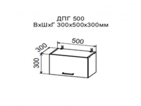 Шкаф верхний ДПГ500 горизонтальный в Симе - sim.magazin-mebel74.ru | фото