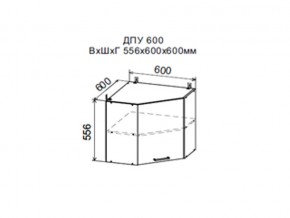 Шкаф верхний ДПУ600 угловой в Симе - sim.magazin-mebel74.ru | фото